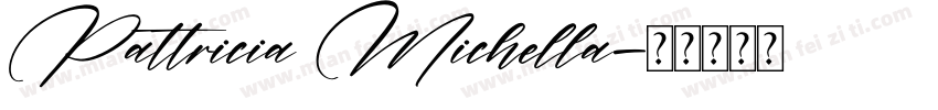 Pattricia Michella字体转换